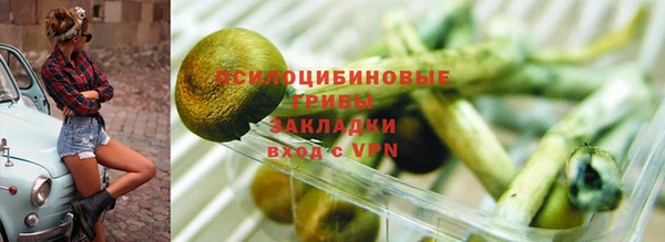 прущая мука Горно-Алтайск