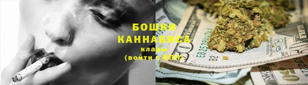 стаф Гусь-Хрустальный