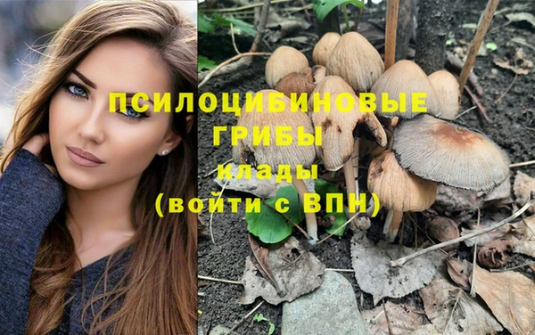тгк Нефтекумск