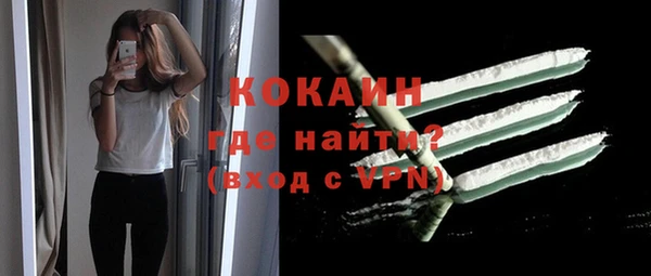 стаф Гусь-Хрустальный