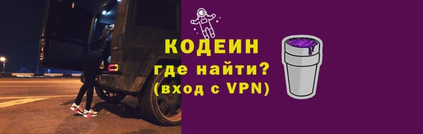 стаф Гусь-Хрустальный
