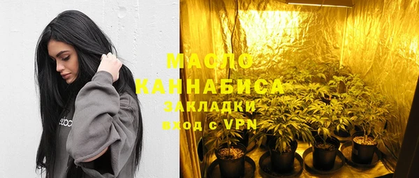 стаф Гусь-Хрустальный