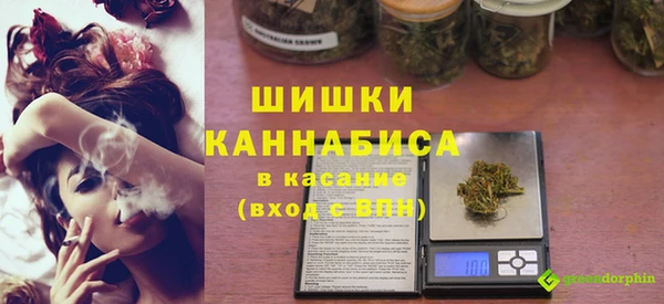 стаф Гусь-Хрустальный