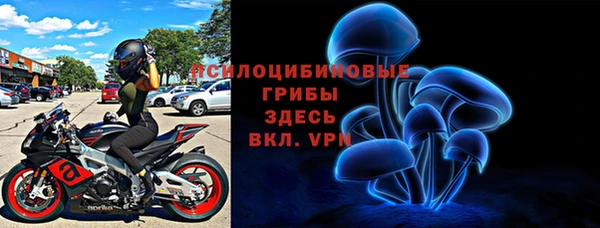 а пвп мука Гусев
