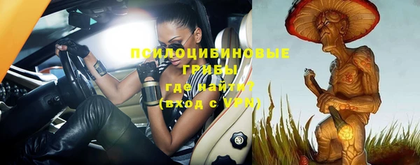 ПСИЛОЦИБИНОВЫЕ ГРИБЫ Горнозаводск