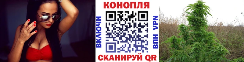 Бошки марихуана AK-47  Купить  Камбарка 